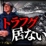 【トラフグ編】虎河豚は本当にいるのか⁉️