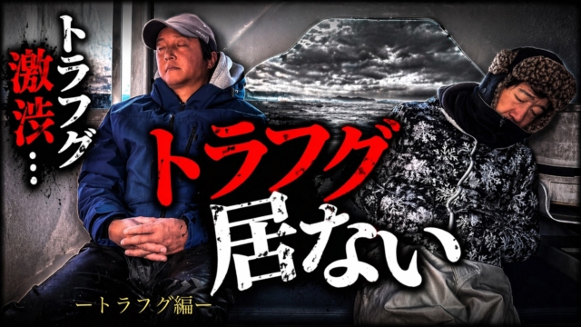 【トラフグ編】虎河豚は本当にいるのか⁉️