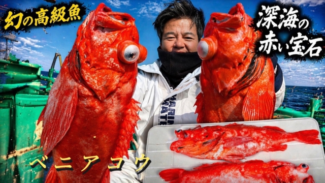 【幻の魚 ベニアコウ編】水深1000m❗️何度も外した男がついに‼️幻のベニアコウ2匹‼️